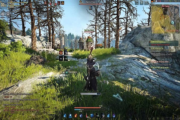 Black Desert Online