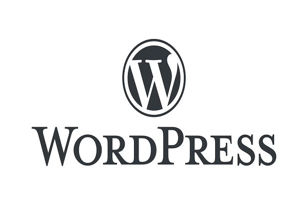 SEO wordpress