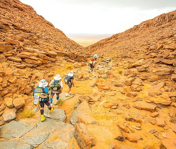 The Marathon Des Sables